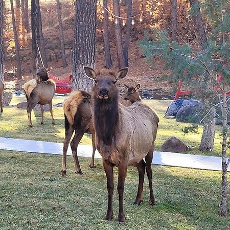Sierra Blanca Cabins Hotel รุยโดโซ ภายนอก รูปภาพ